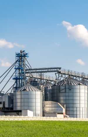 Fertilizer  Manufacturers