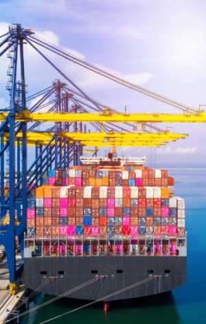 International / Export Buyers